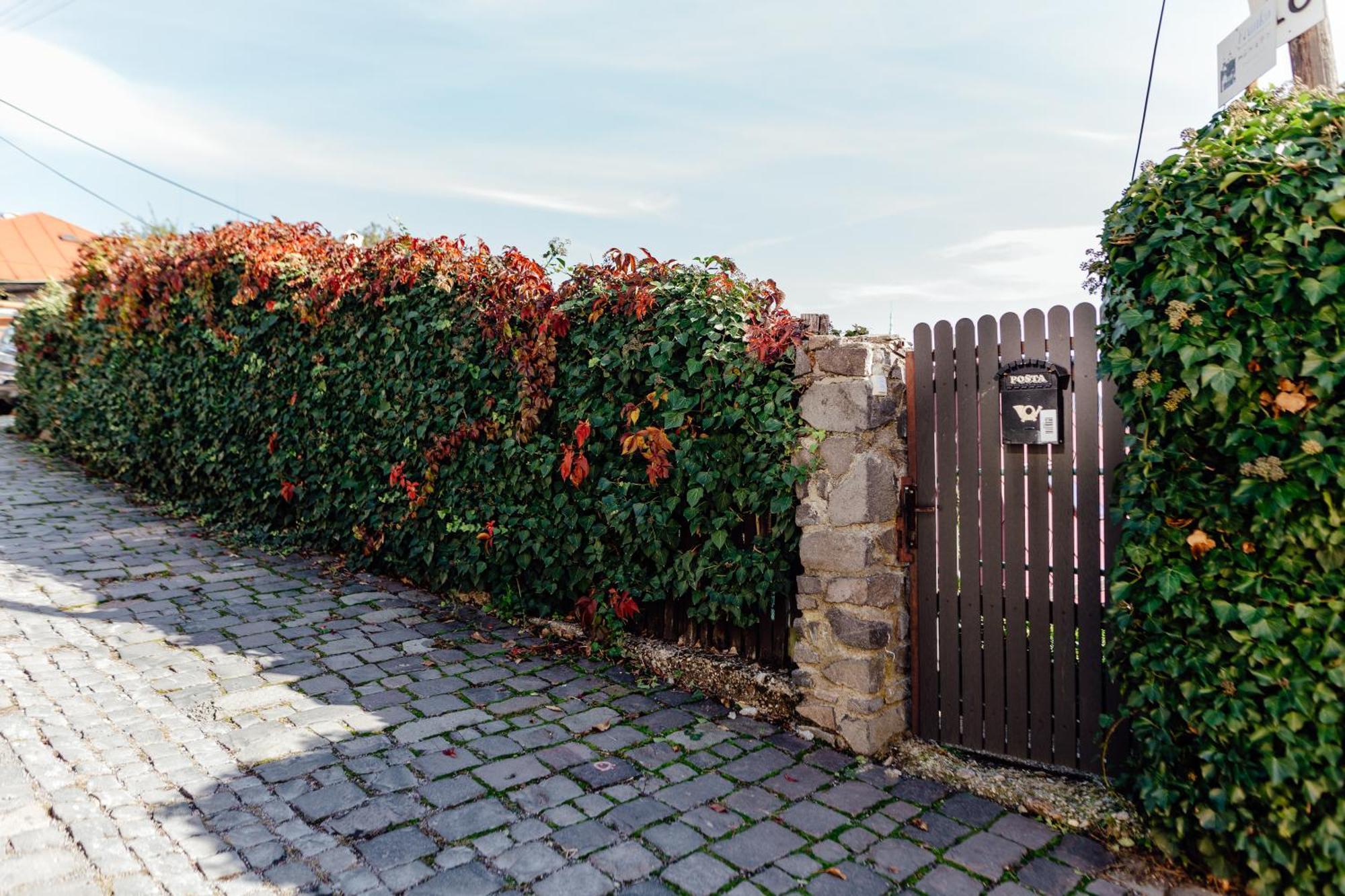 Apartmán Franko Banská Štiavnica Exterior foto
